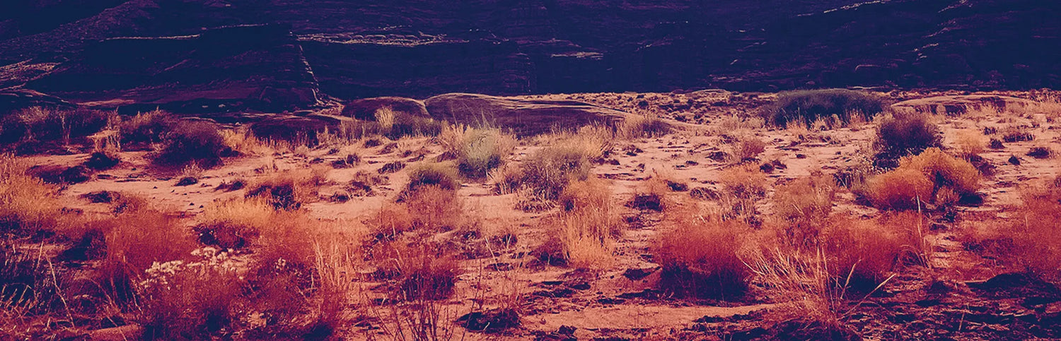 Fresh new desert theme shirts and apparel. Finding serenity and solitude in the desert. High quality t-shirts by AbstractRiver