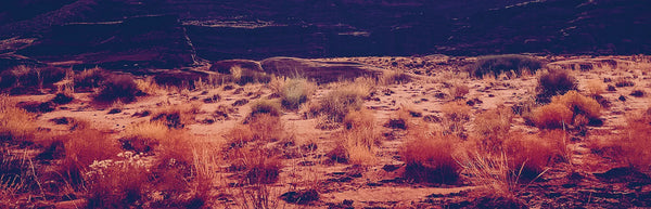 Fresh new desert theme shirts and apparel. Finding serenity and solitude in the desert. High quality t-shirts by AbstractRiver