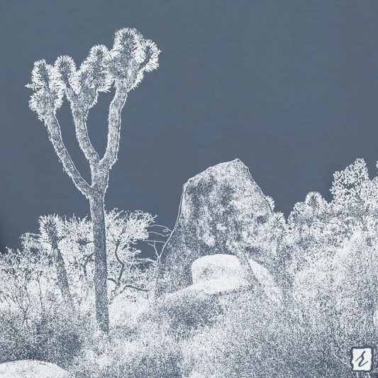 joshuatree-blue-jean-c